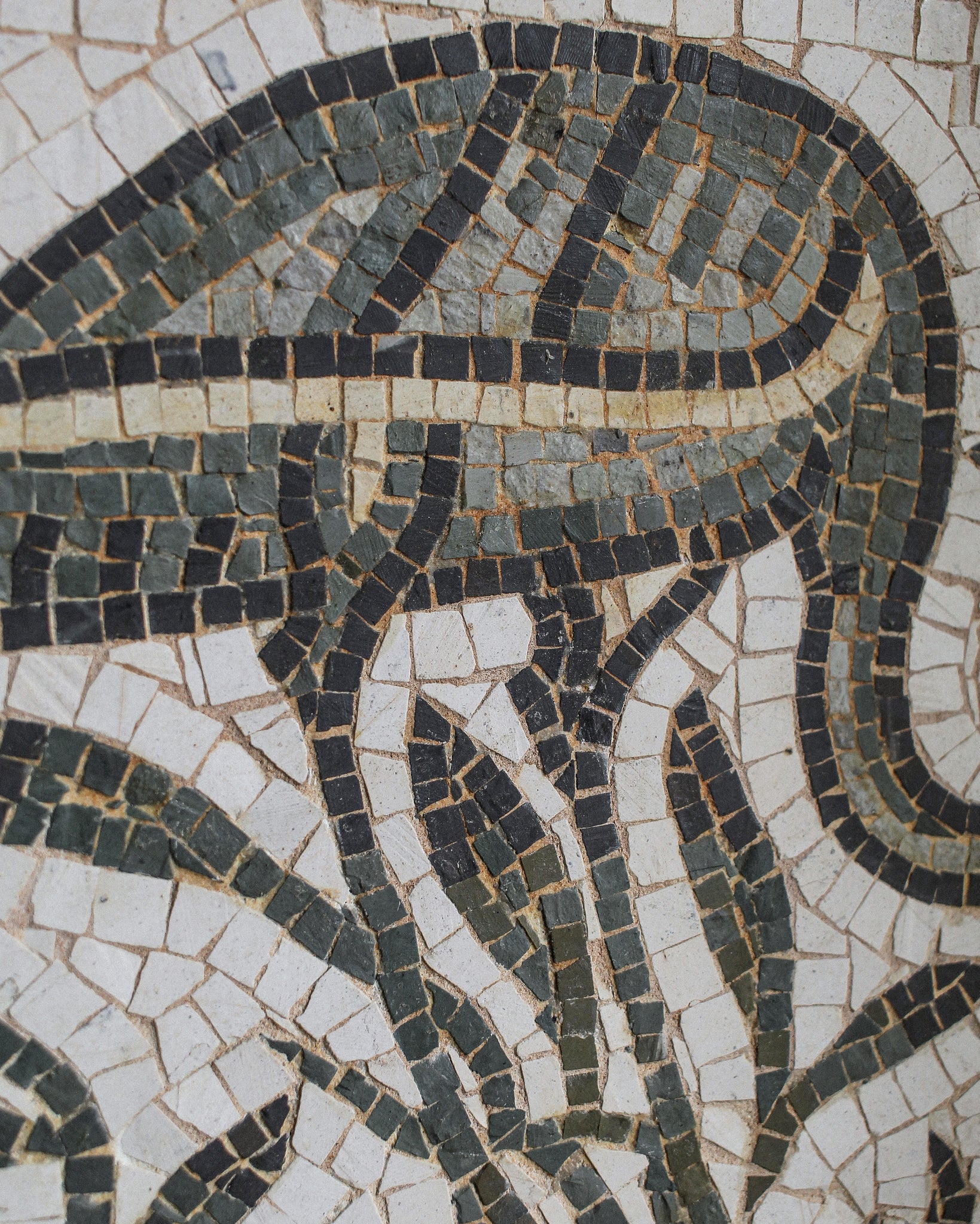 Roman Tesserae Floor Mosaic Depicting Ibis and Foliage