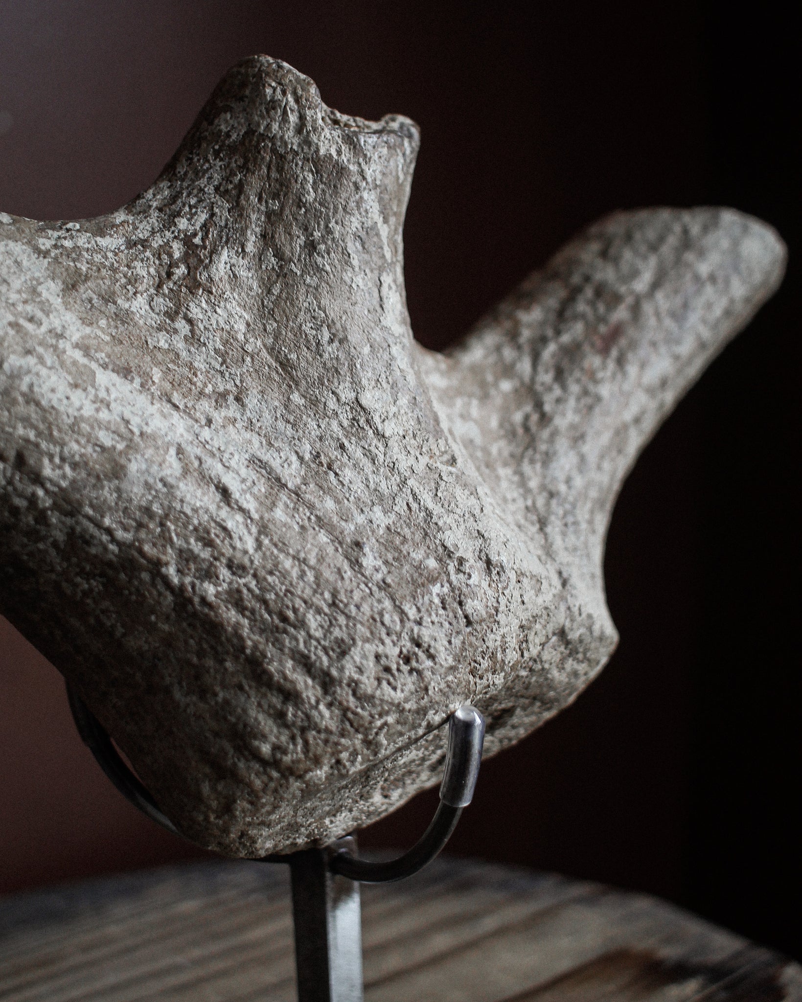 Large Ice Age Elk Bone Fossil on Stand