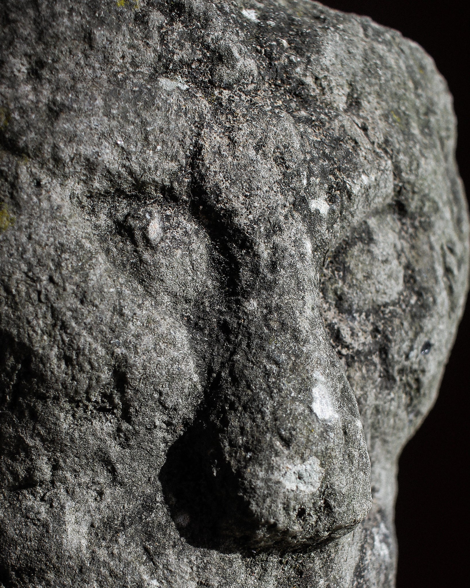 Late Romanesque Tuscan Stone Head of Lion Man on Stand