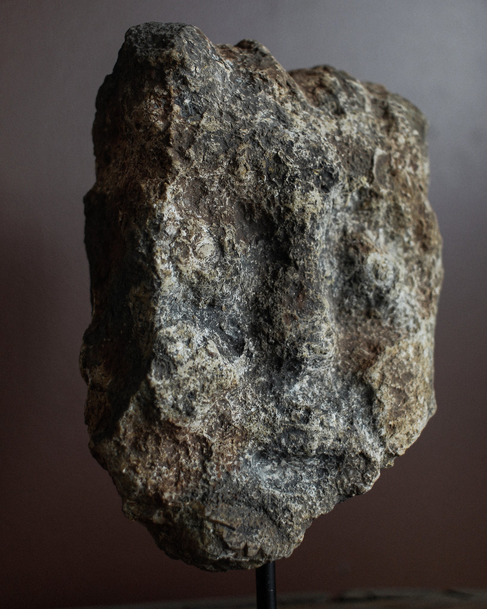 14th Century Stone Head on Stand