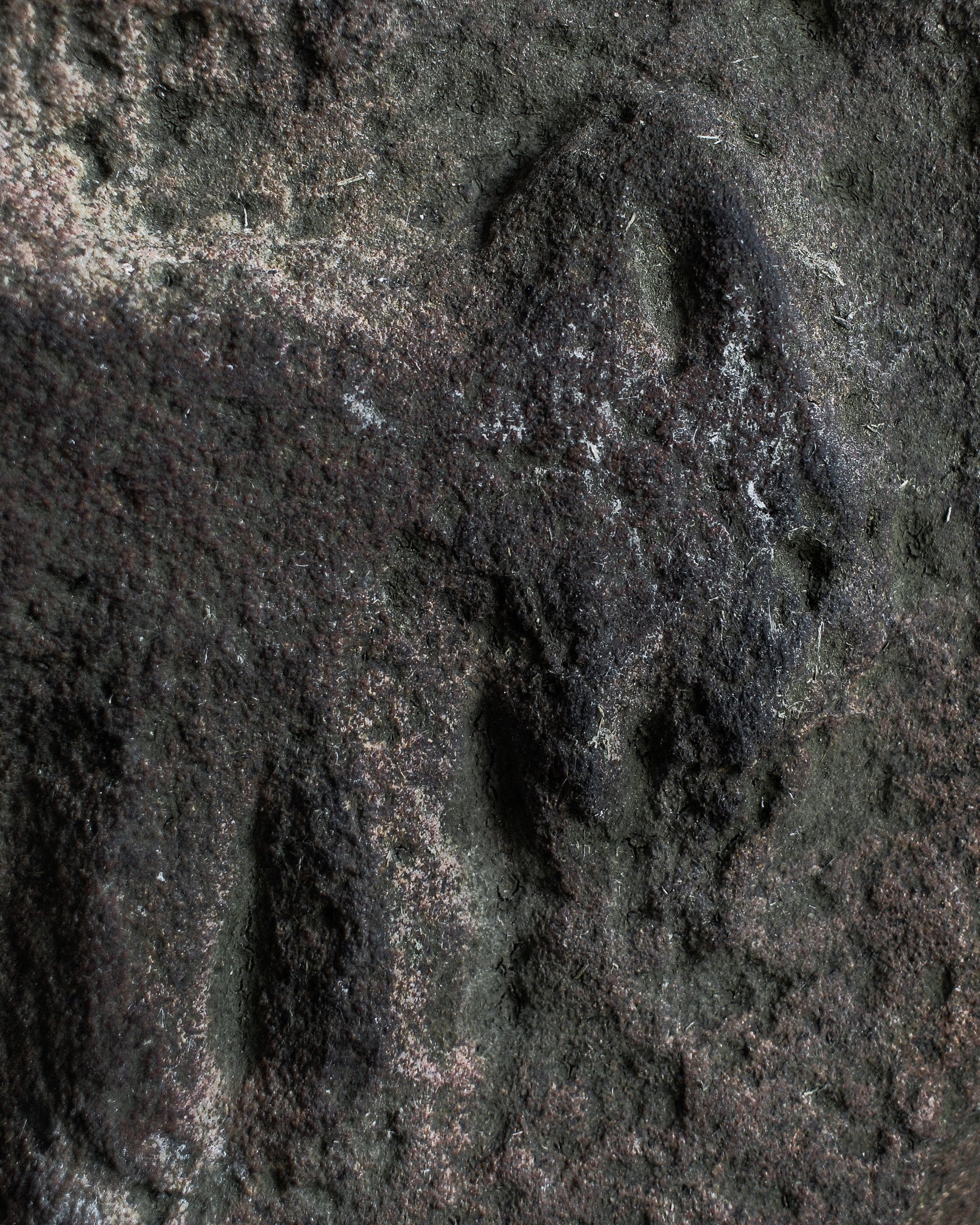 Iron Age Scottish Stone Carving of a Fox on Stand