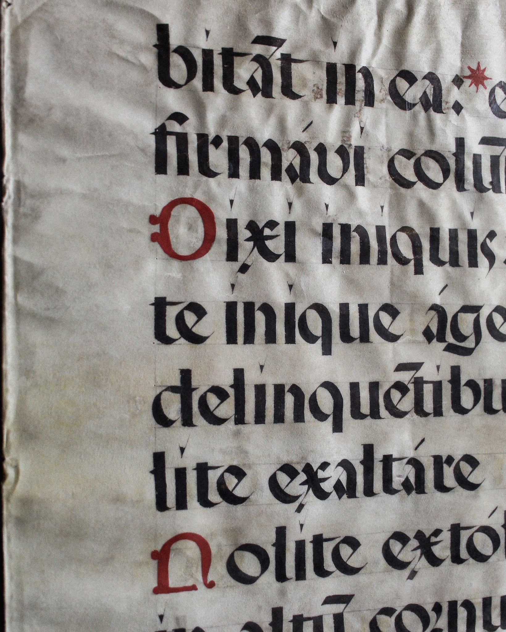 Large Vellum Manuscript Leaf in Carved Frame