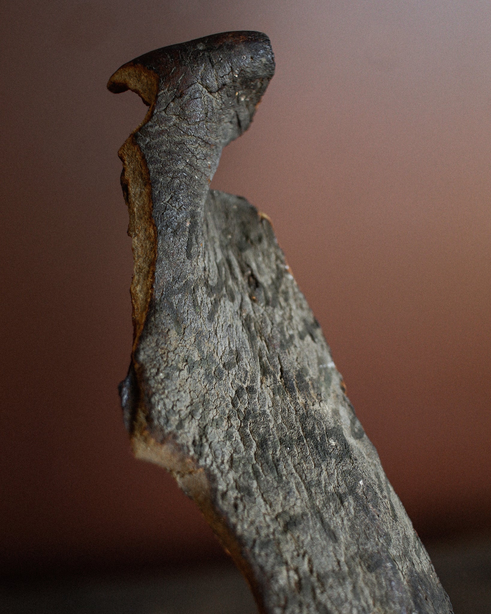 Coptic Animal Hide Burial Offering with Written Spell on Stand