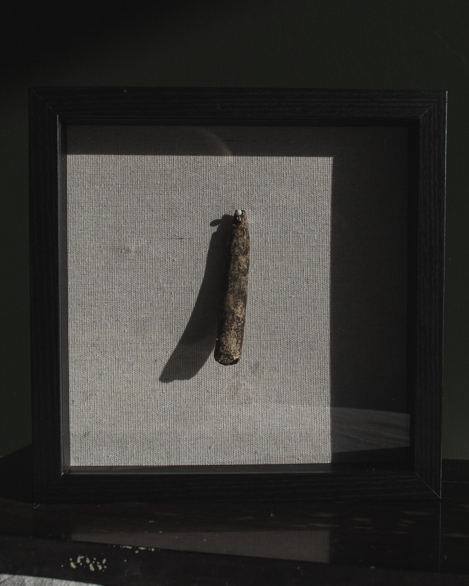 Archaic Period Bone Tool in Shadow Box Frame