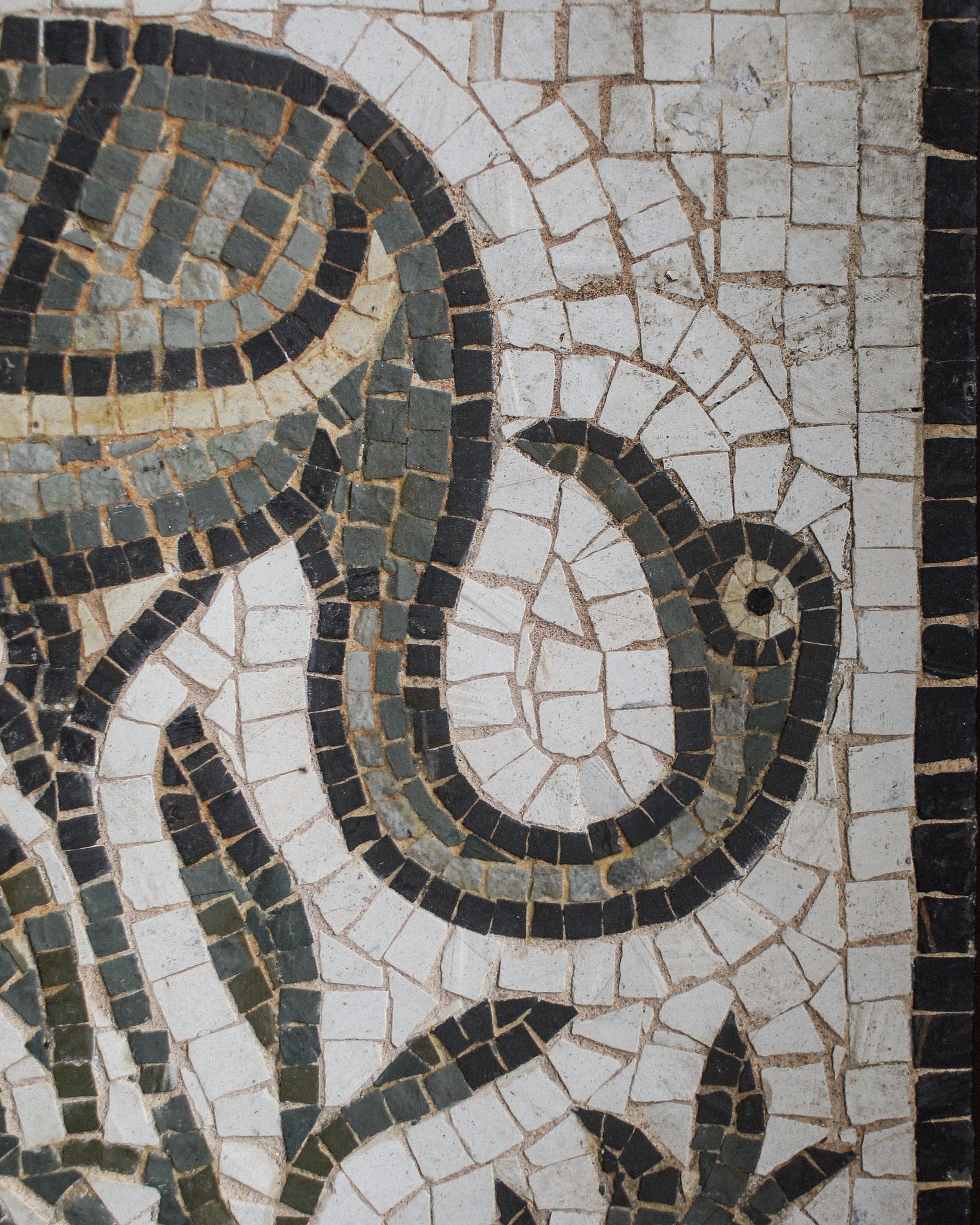 Roman Tesserae Floor Mosaic Depicting Ibis and Foliage