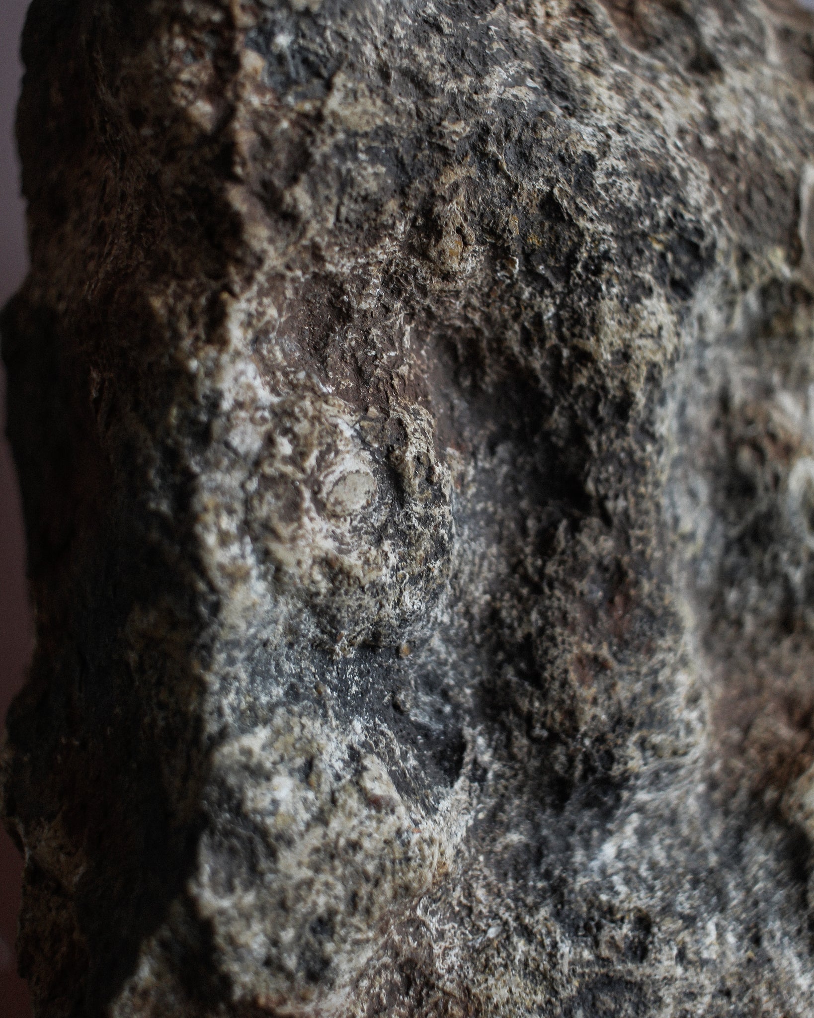 14th Century Stone Head on Stand