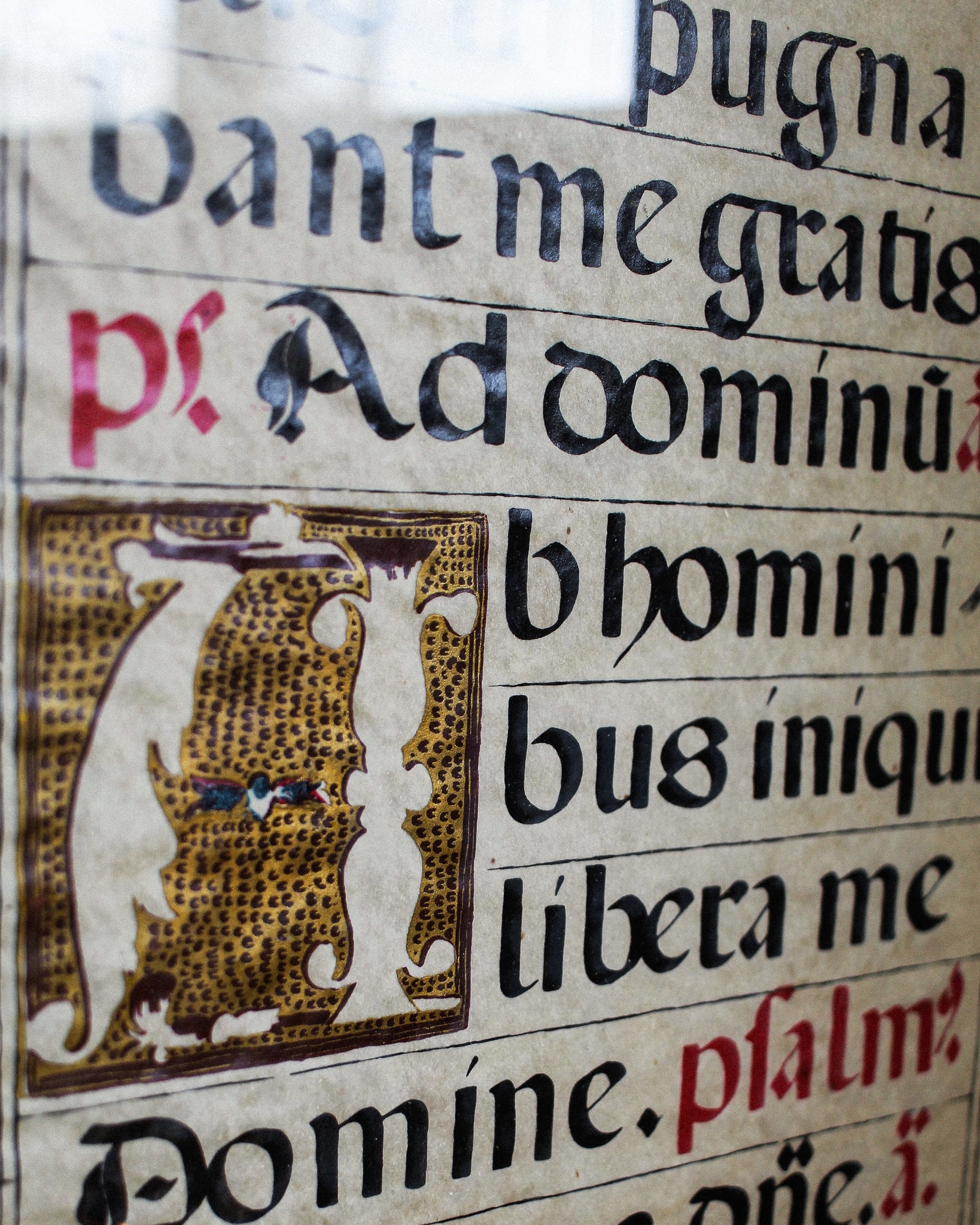 Early 16th Century Vellum Manuscript in Frame