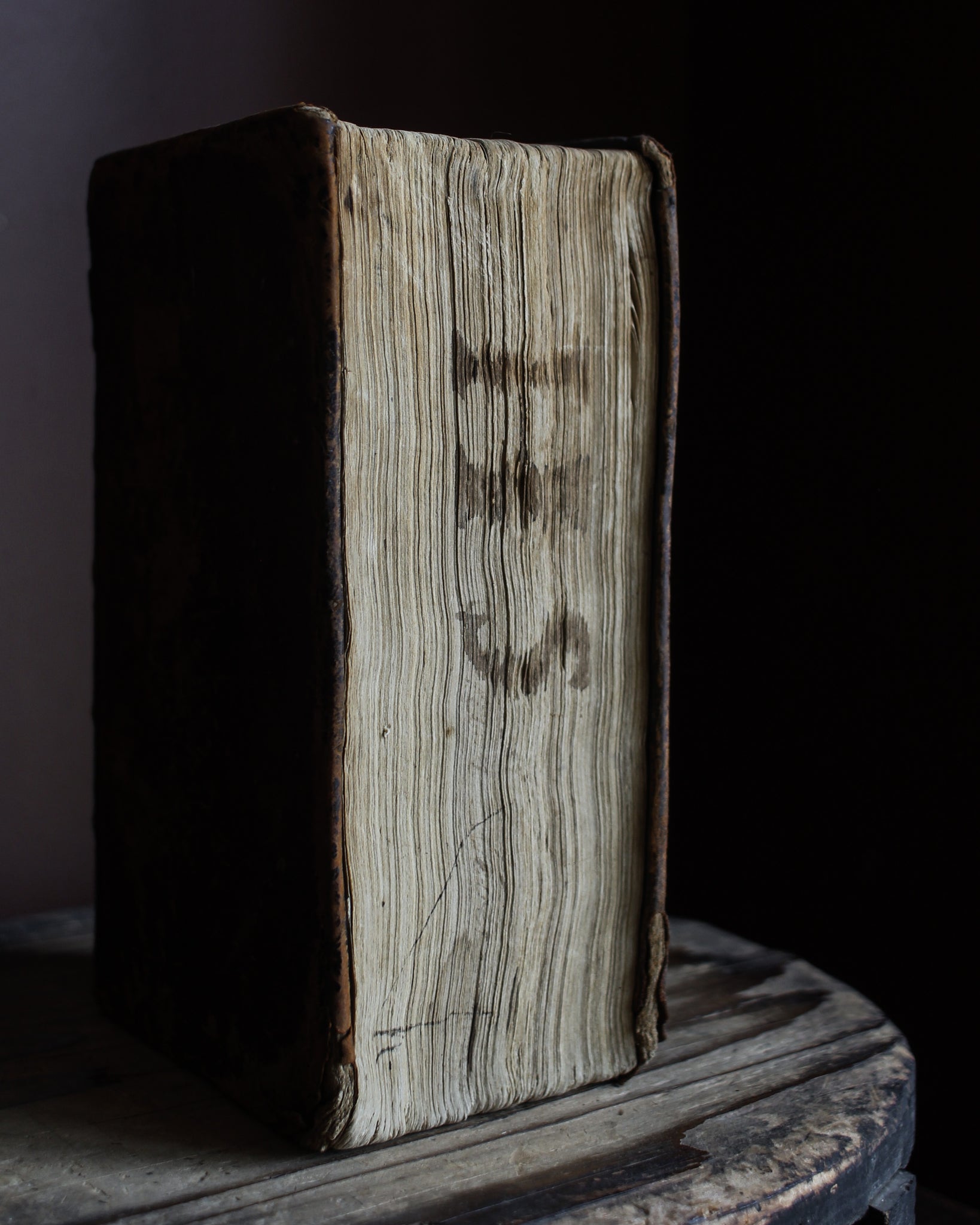 1821 Latin English Dictionary