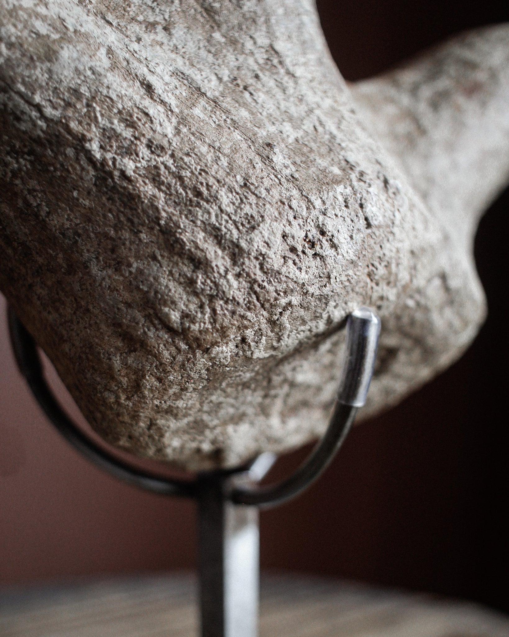 Large Ice Age Elk Bone Fossil on Stand