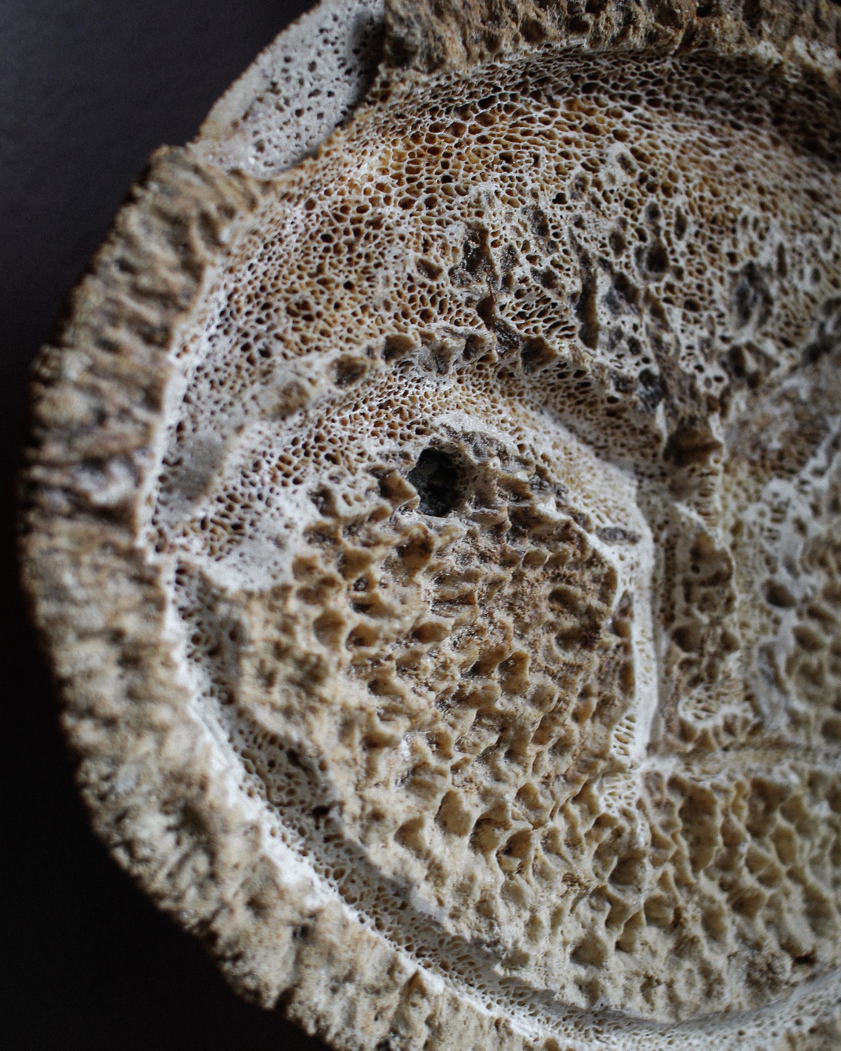 Whalesbone Mask on Stand