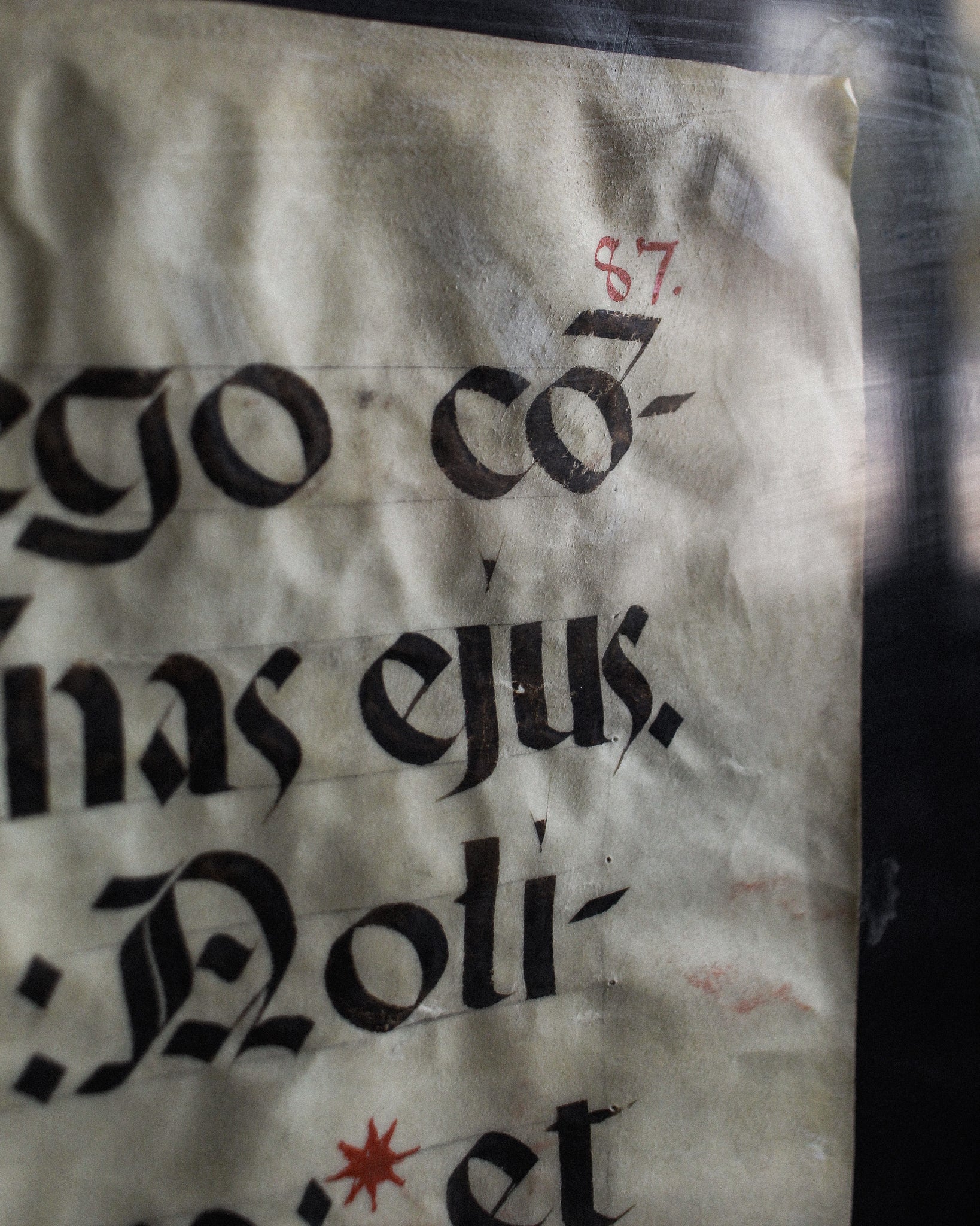 Large Vellum Manuscript Leaf in Carved Frame