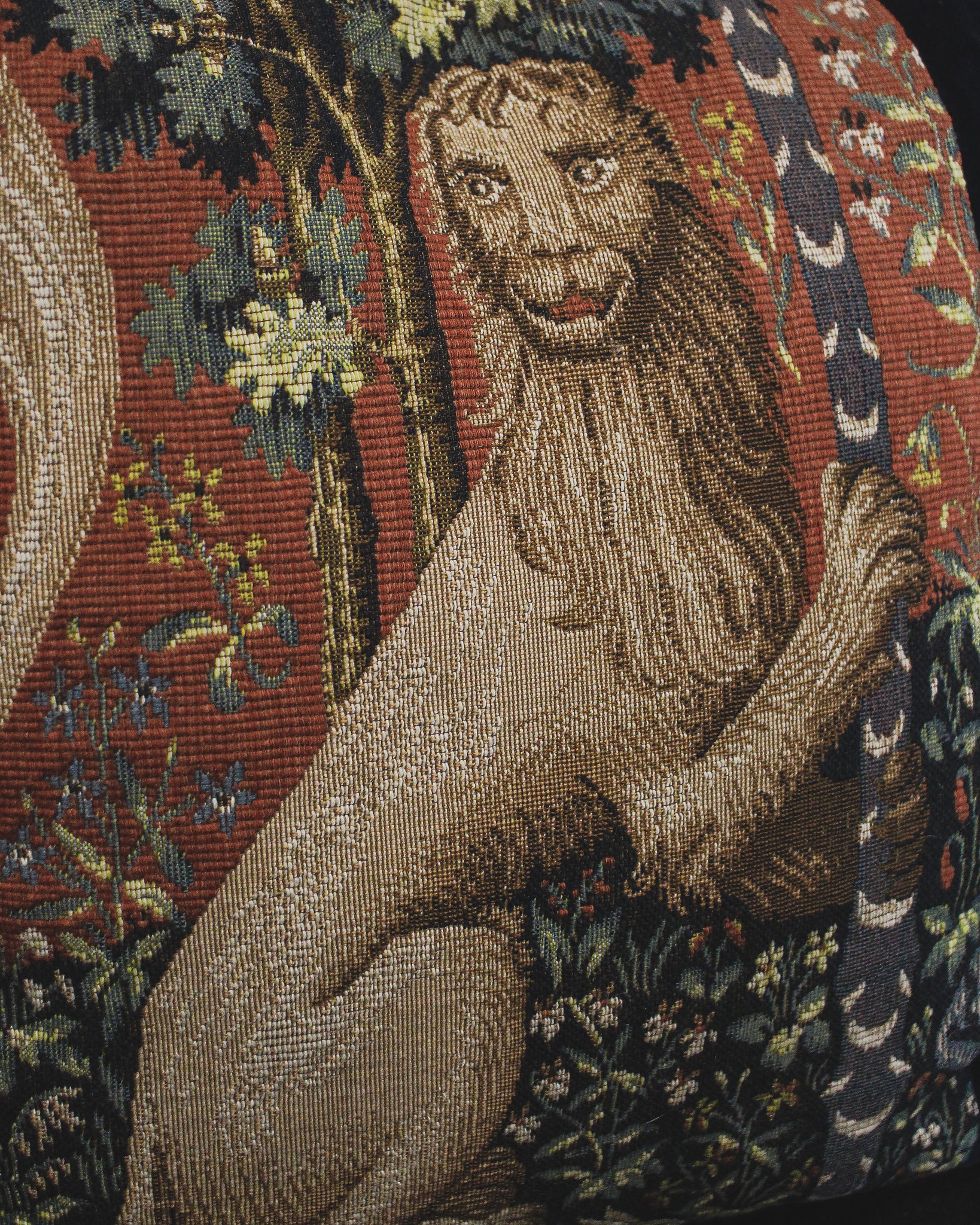 Lion Tapestry and Blue Velvet Pillow