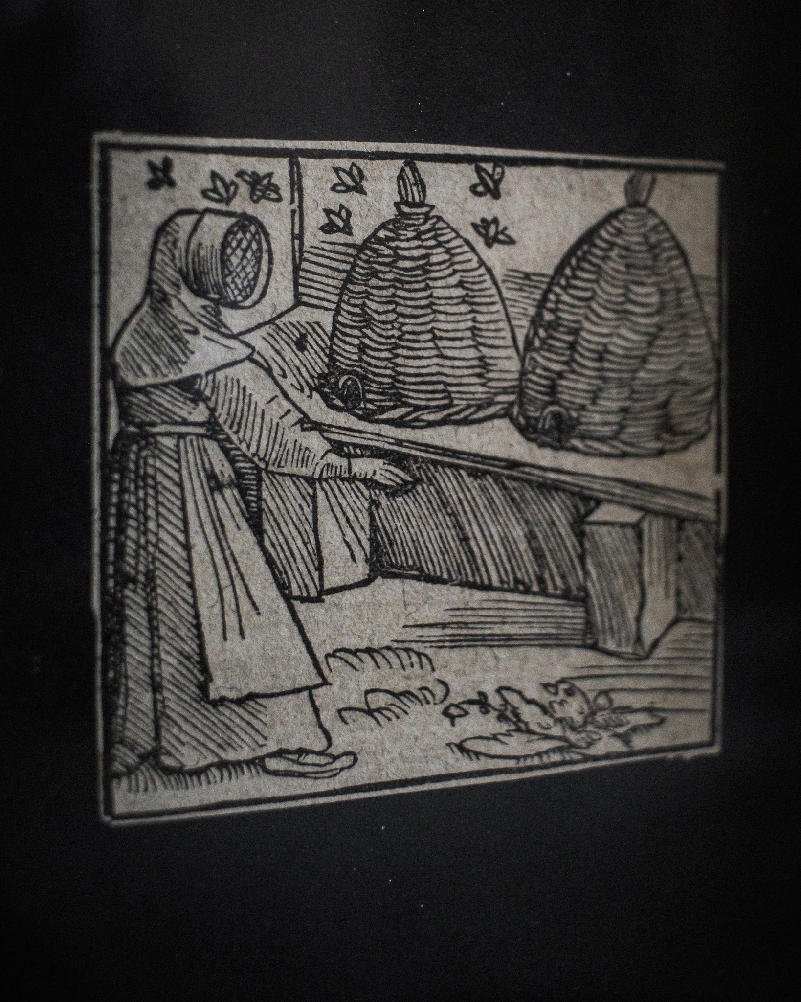 The Beekeeper Woodblock Print, 1550, Germany